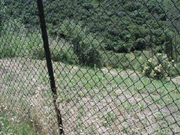 Looking down into the property from Malibu Road.